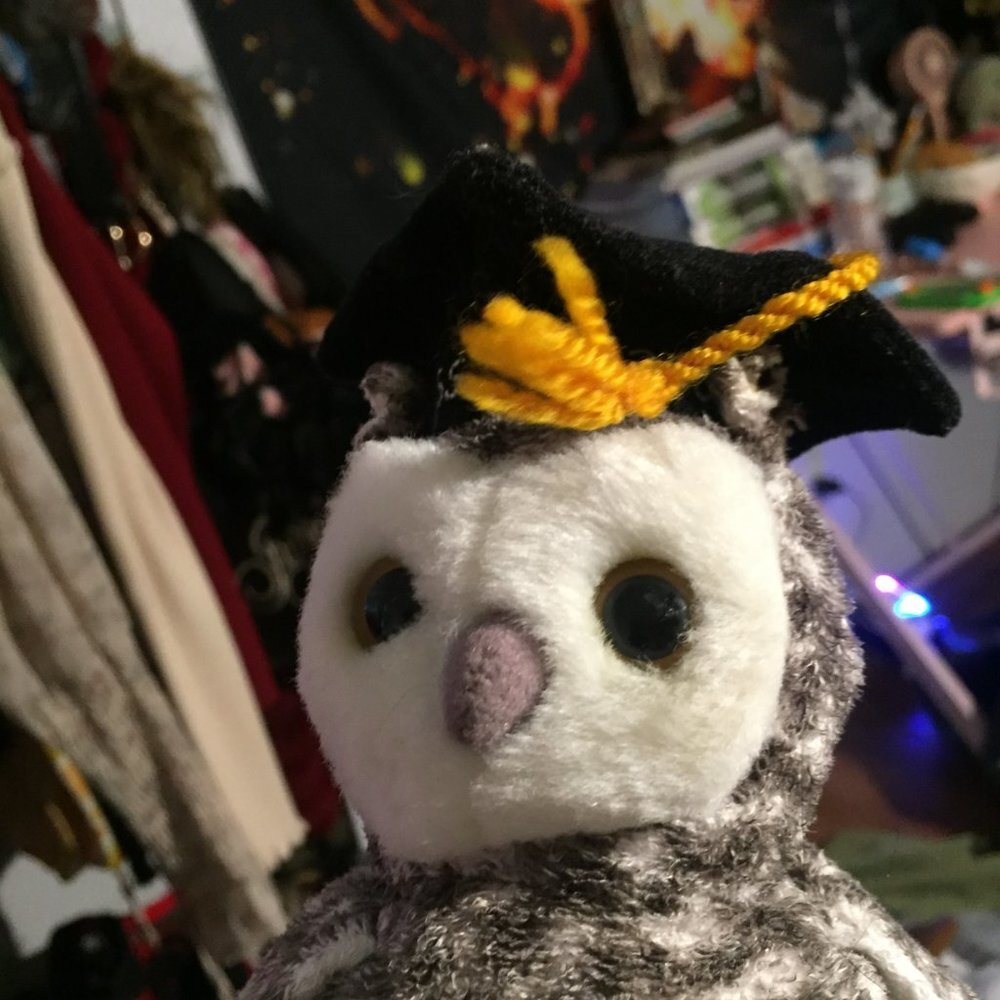 Graduating Owl Plush - Picture 6 of 14
